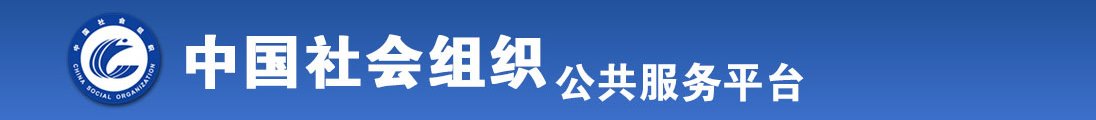 湿插啊啊啊全国社会组织信息查询